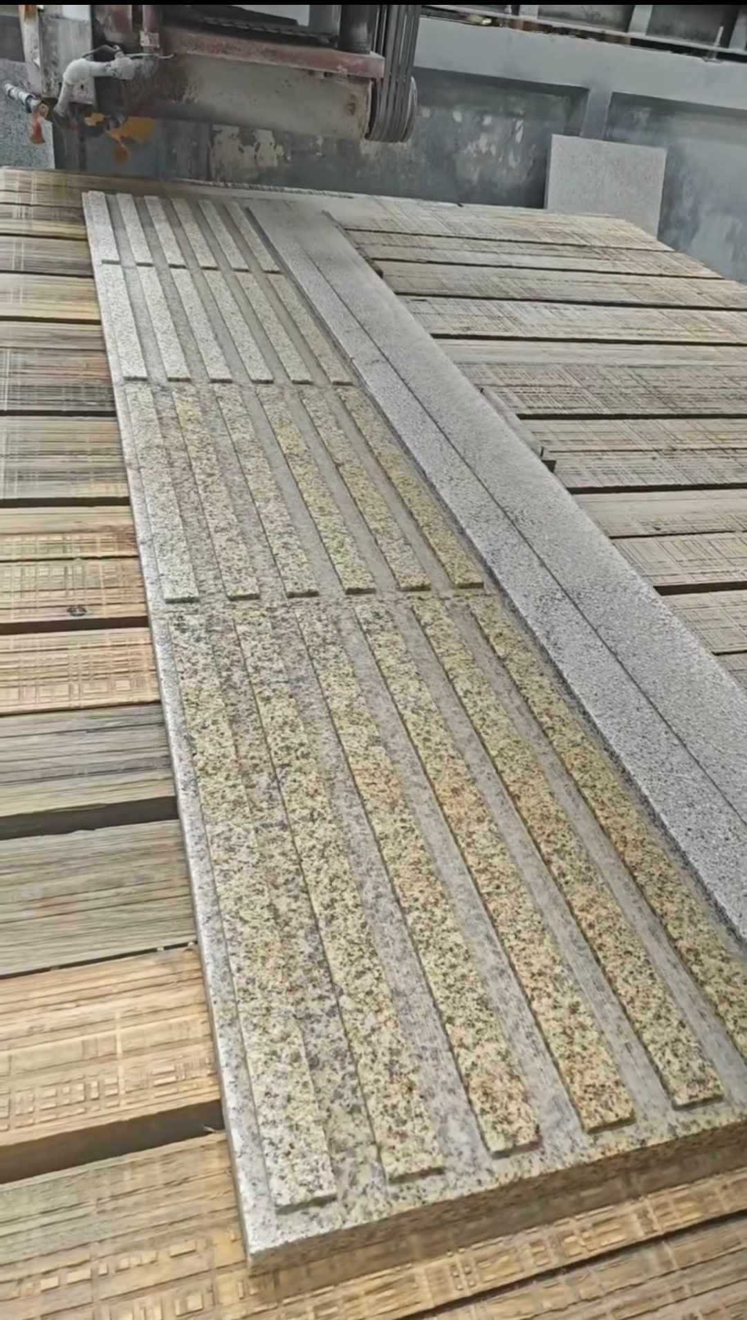 厦门黄金麻盲道石 盲条
